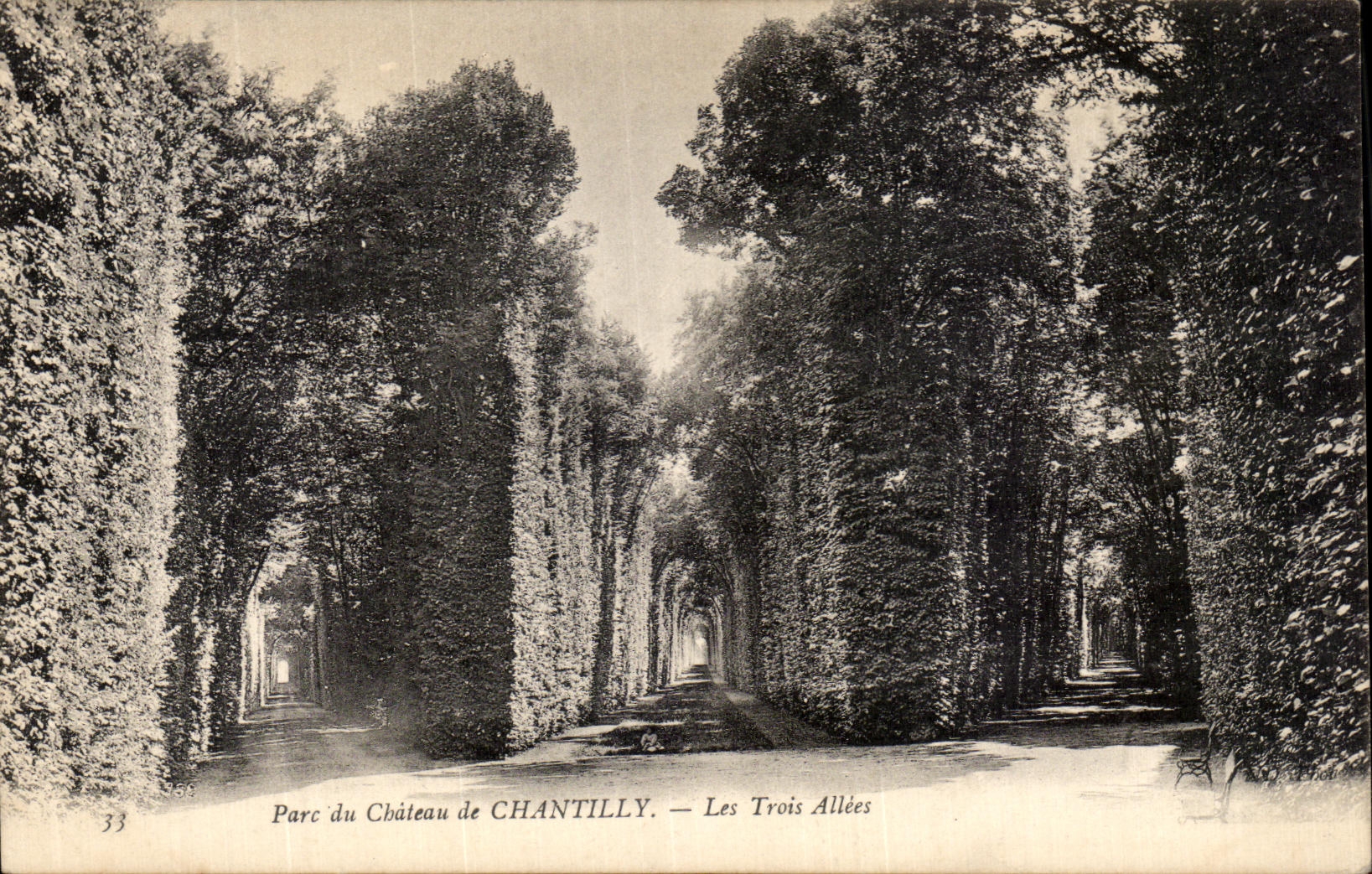 VINTAGE POSTCARD Park of the Castle of Chantilly Three Alleys