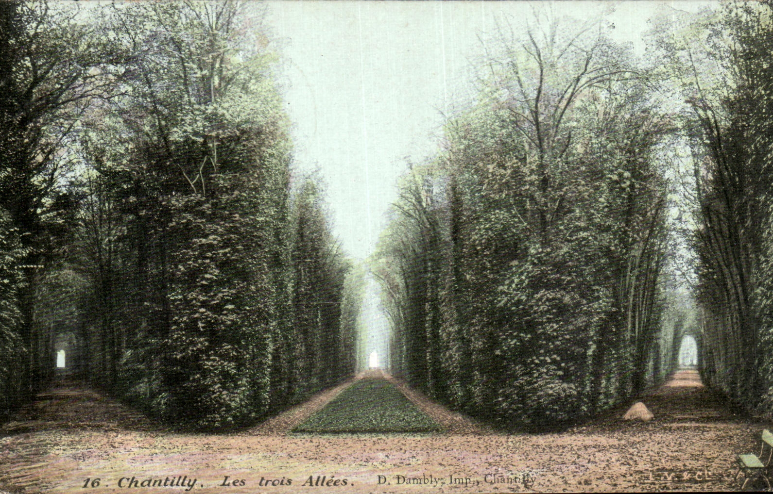 VINTAGE POSTCARD Chantilly Three Alleys