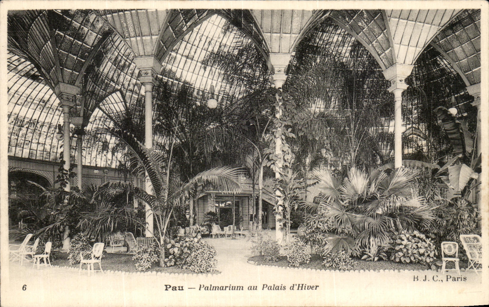 VINTAGE POSTCARD Pau Palm house with the Palate D Winter