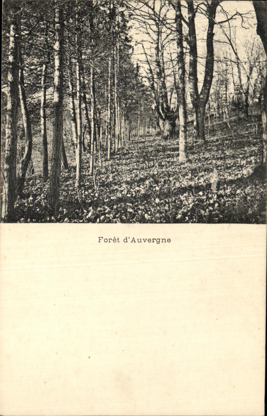 VINTAGE POSTCARD Drill D Auvergne