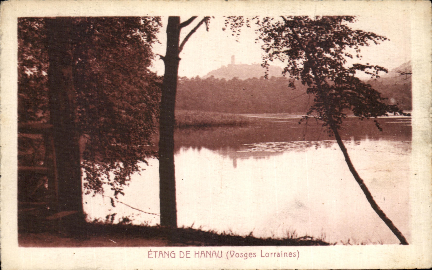 VINTAGE POSTCARD Pond De Hanau