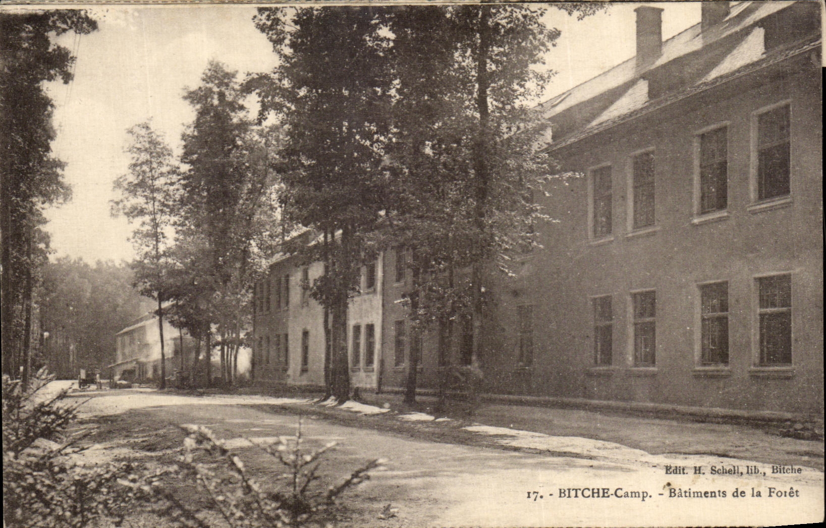 VINTAGE POSTCARD Bitche Camp Buildings of the Militaria drill