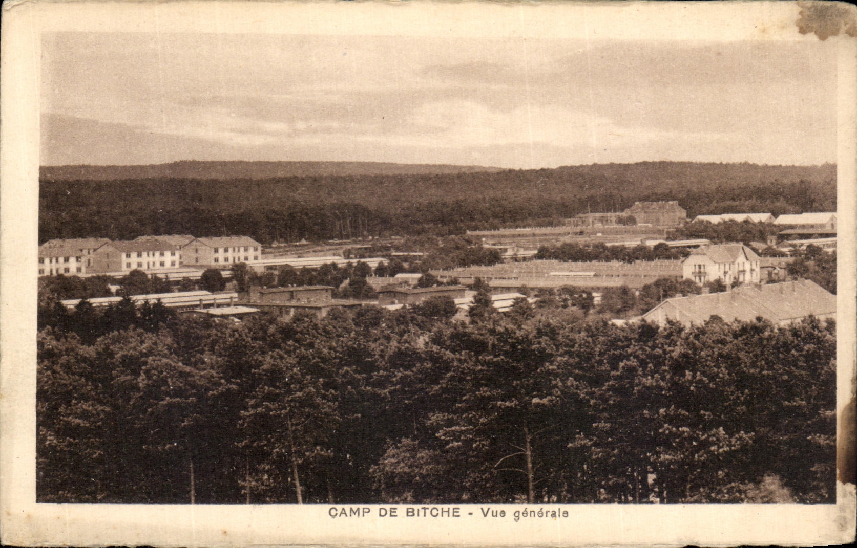 VINTAGE POSTCARD Bitche de Champ View Militaria