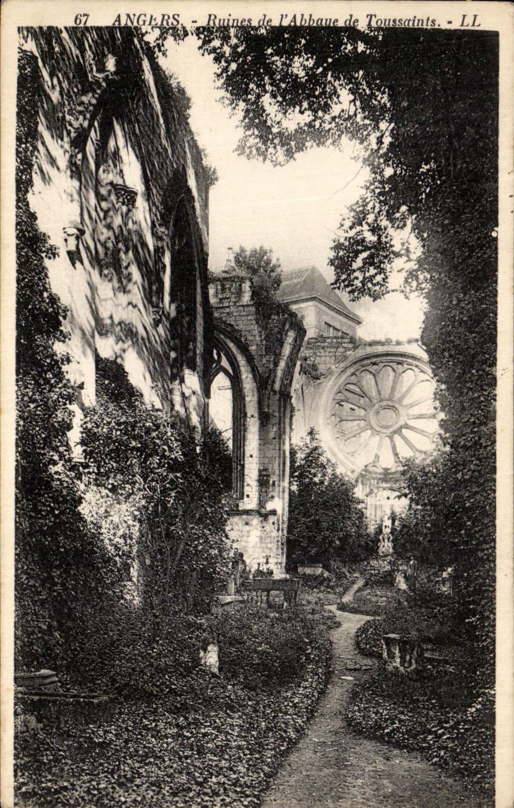 VINTAGE POSTCARD Angers Ruins of L Abbey of Toussaints