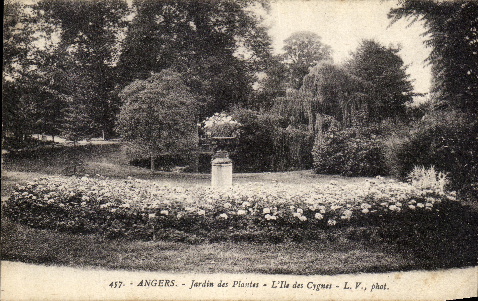 VINTAGE POSTCARD Angers Botanical garden L Island Of the Swans