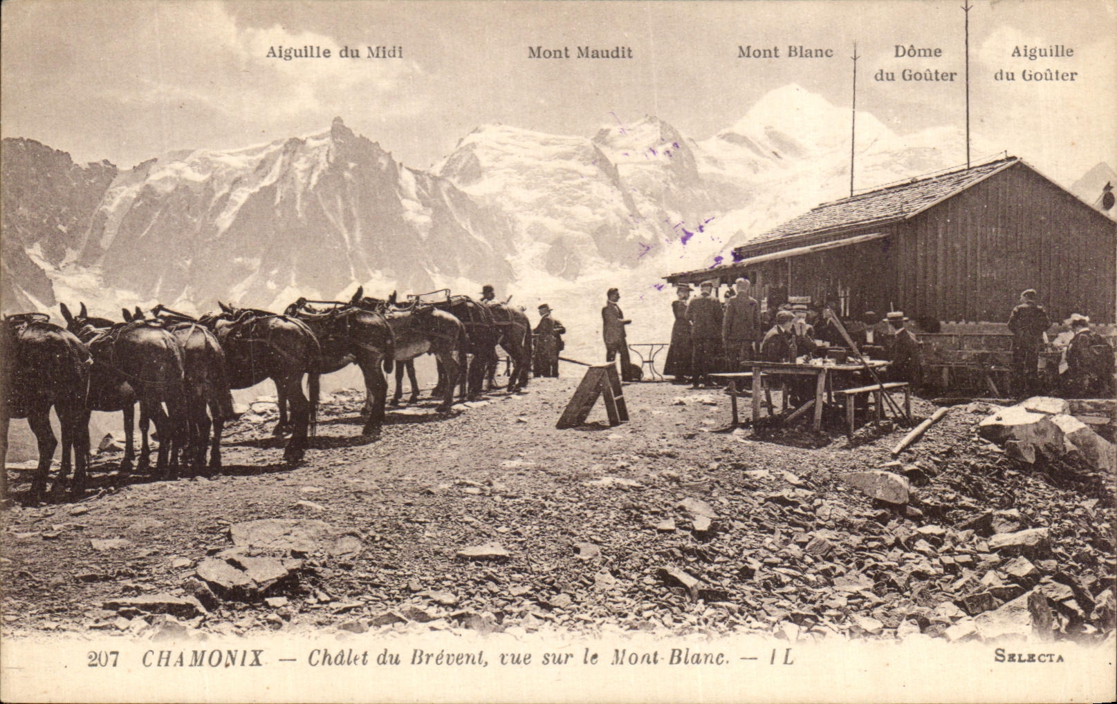 VINTAGE POSTCARD Chamonix Country cottage Of Brevent Seen On Mont Blanc Asses Horses