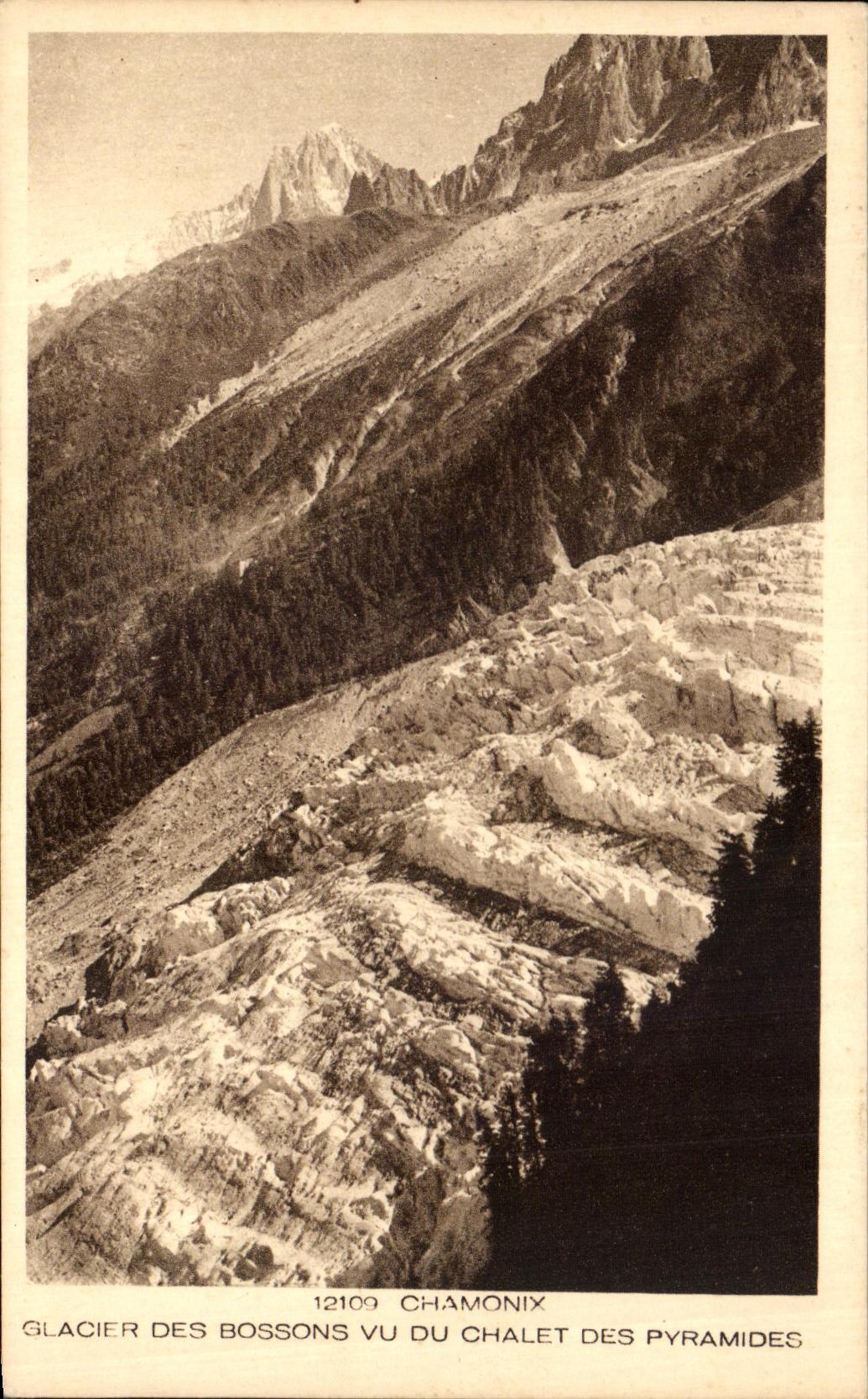 VINTAGE POSTCARD Chamonix Glacier Of Let us work Seen Country cottage Of the Pyramids