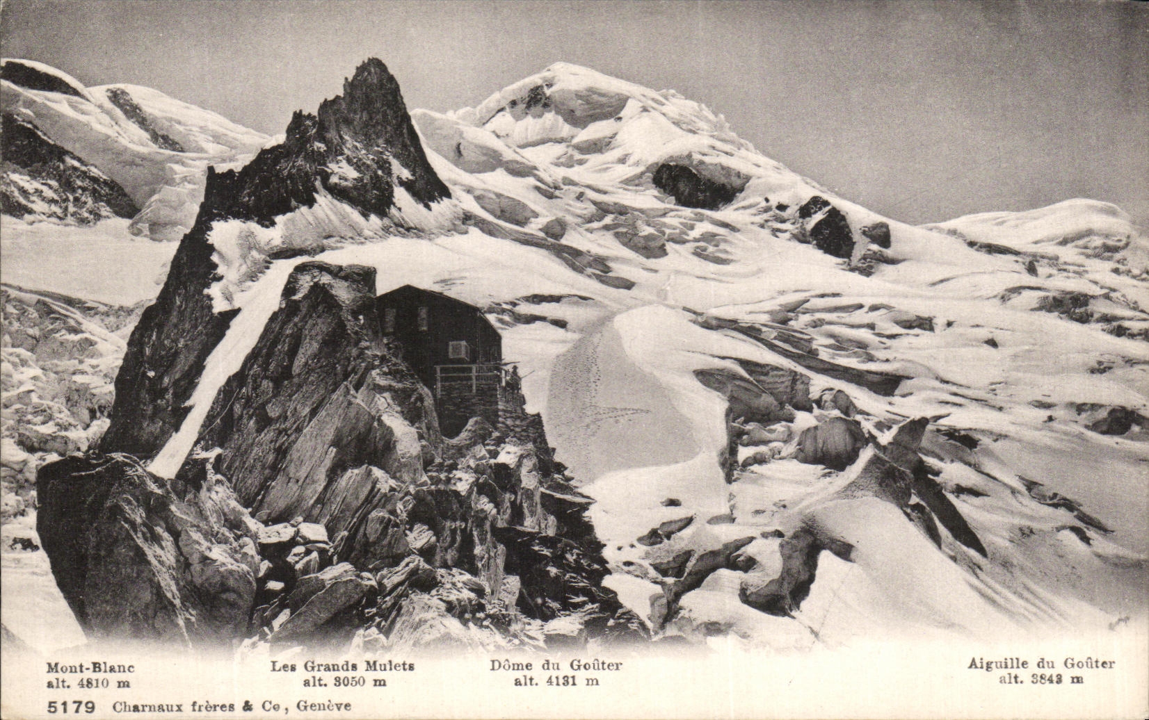 VINTAGE POSTCARD Chamonix Large Mules