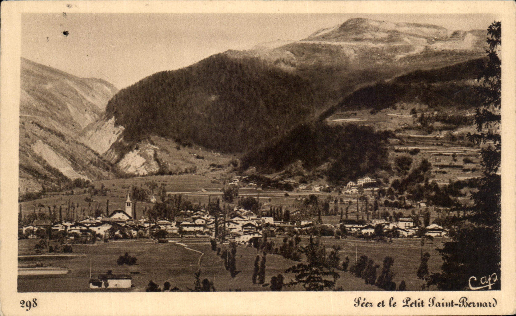 VINTAGE POSTCARD Seez and the small Saint Bernard