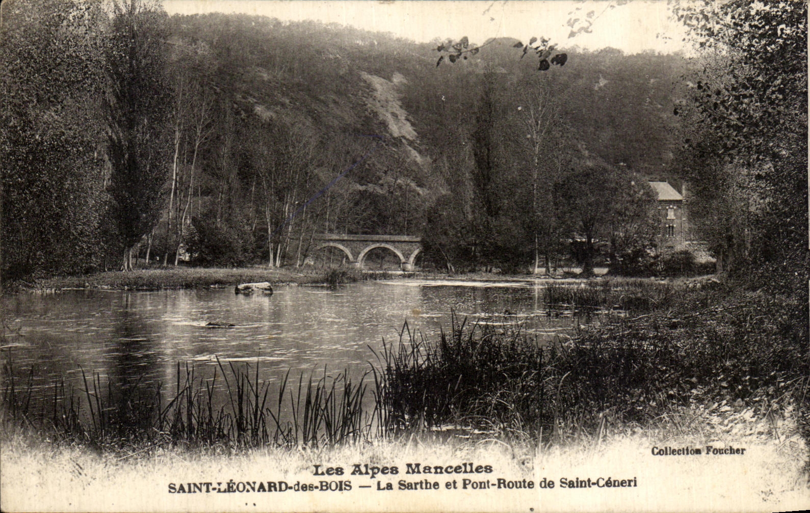 VINTAGE POSTCARD Holy Leonard of Wood the Sarthe and Pont Road of Ceneri Saint