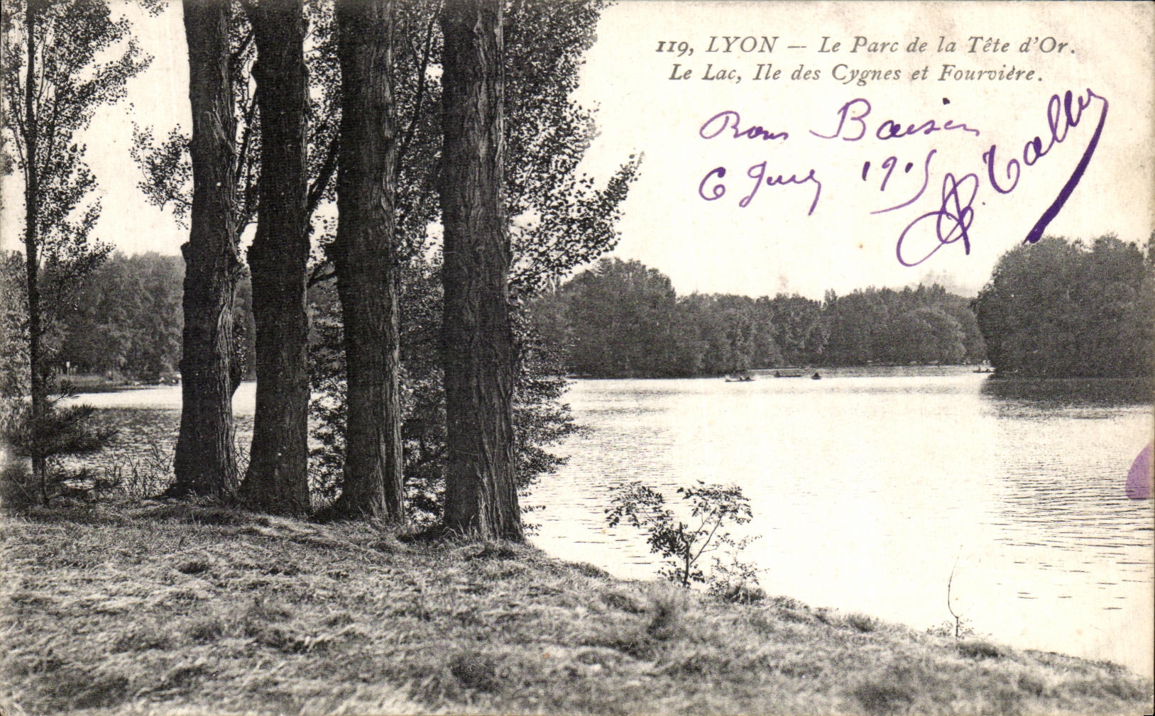 VINTAGE POSTCARD Lyon the Park of the Head D But the Lake Island Of the Swans And Fourviere