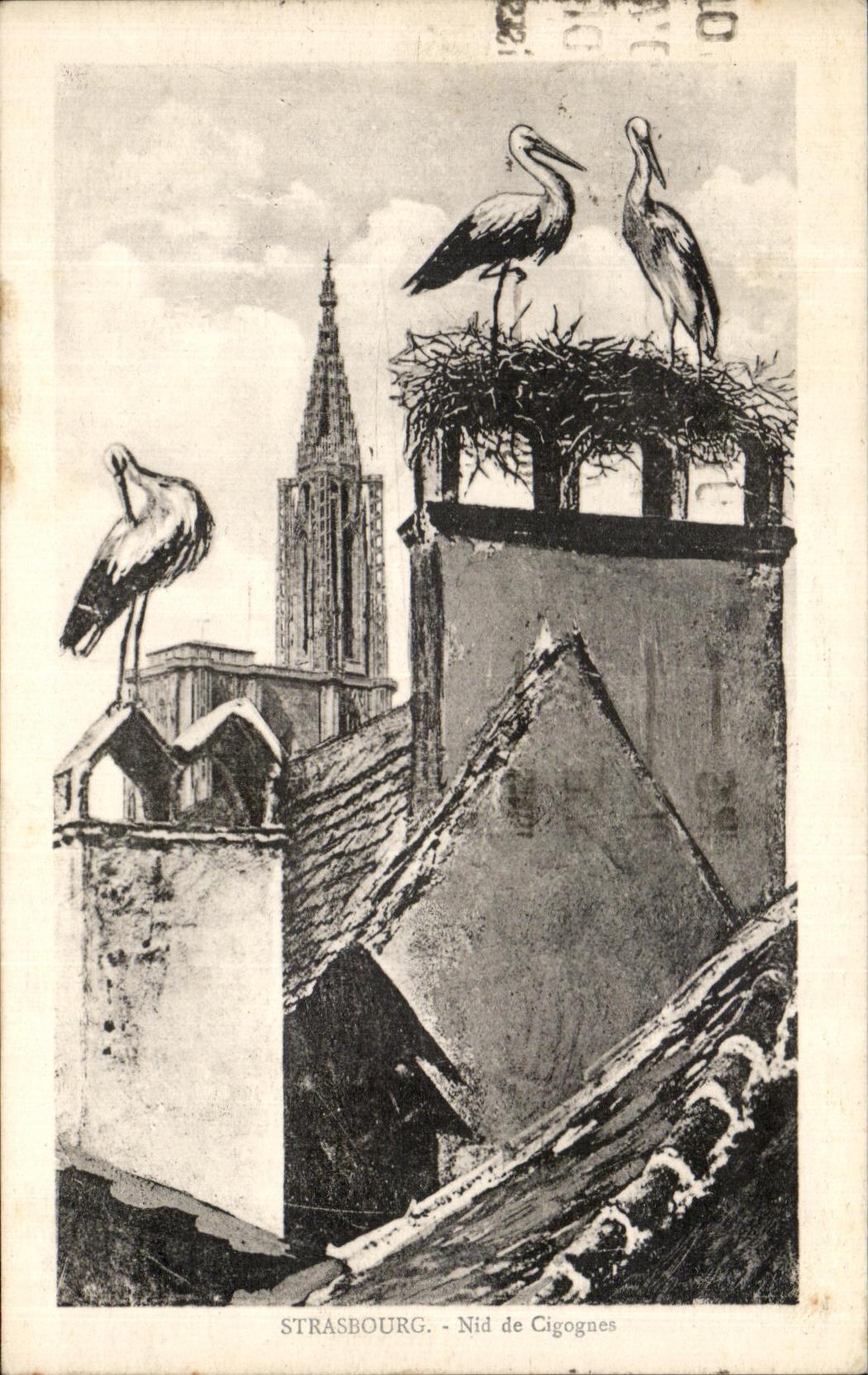 VINTAGE POSTCARD Strasbourg Nest of Storks