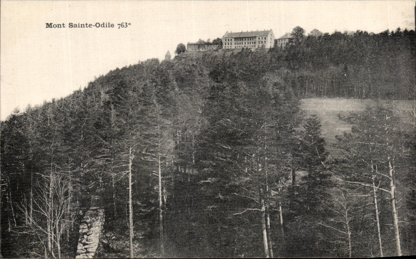 Montaje Sainte Odile de la POSTAL de la VENDIMIA