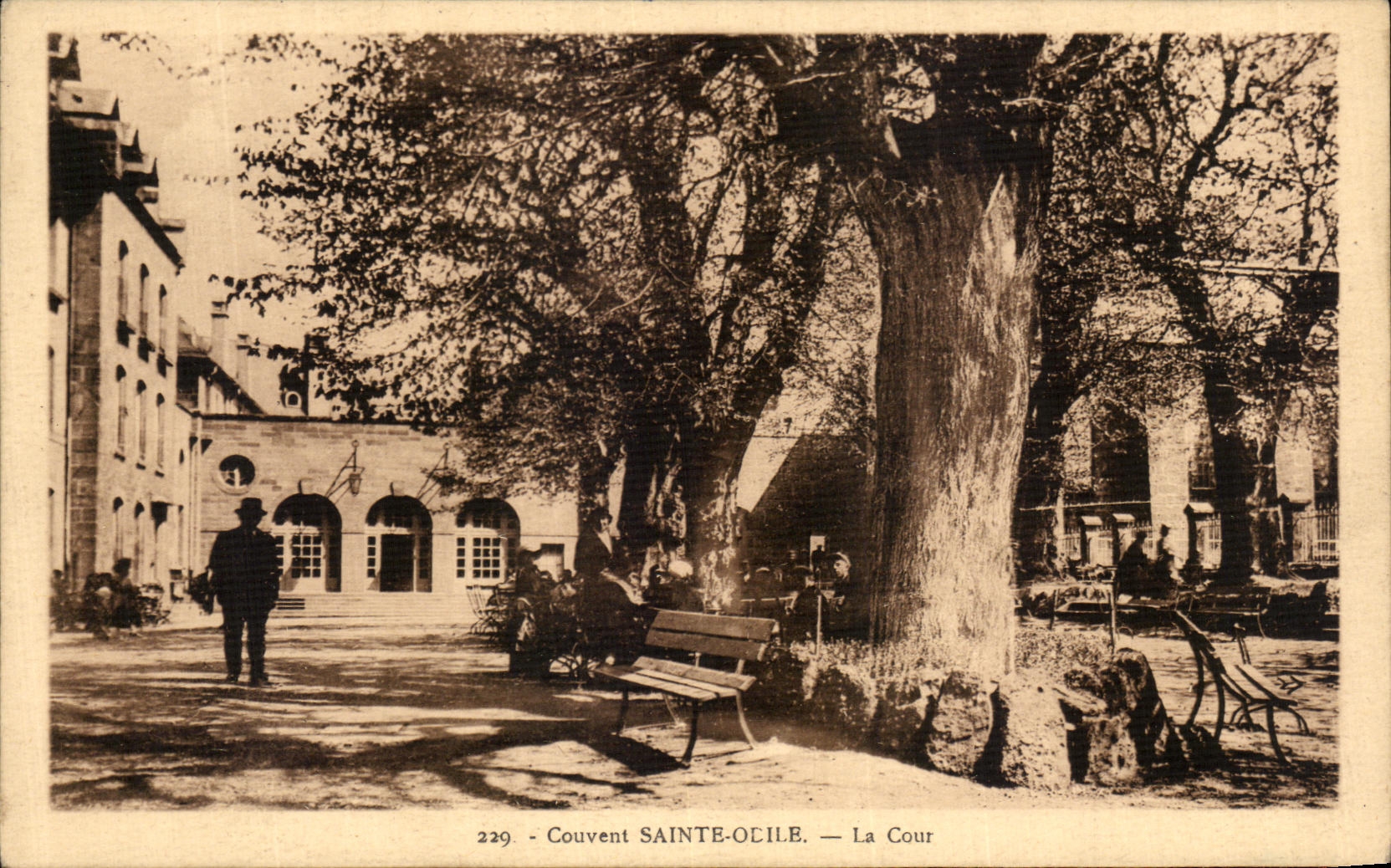 De la VENDIMIA de la POSTAL del convento corte de Odile Sainte