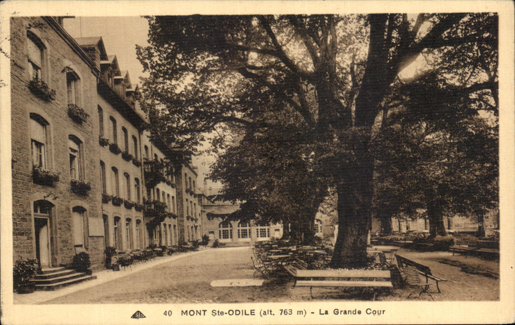 Montaje co de la POSTAL de la VENDIMIA  Corte grande de Odile