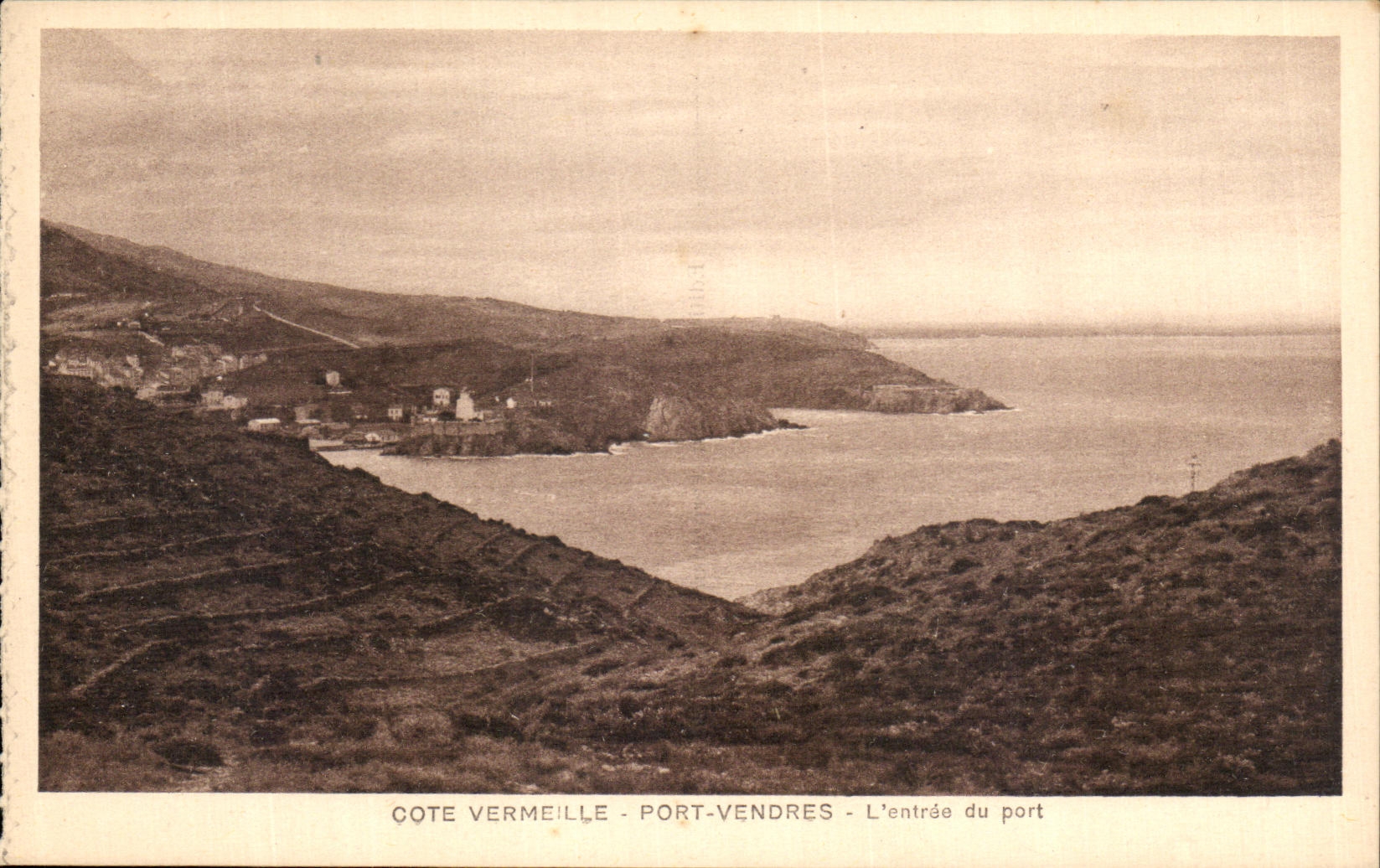 VINTAGE POSTCARD Vermilion Dimension Port Vendres L Entered Of the Share