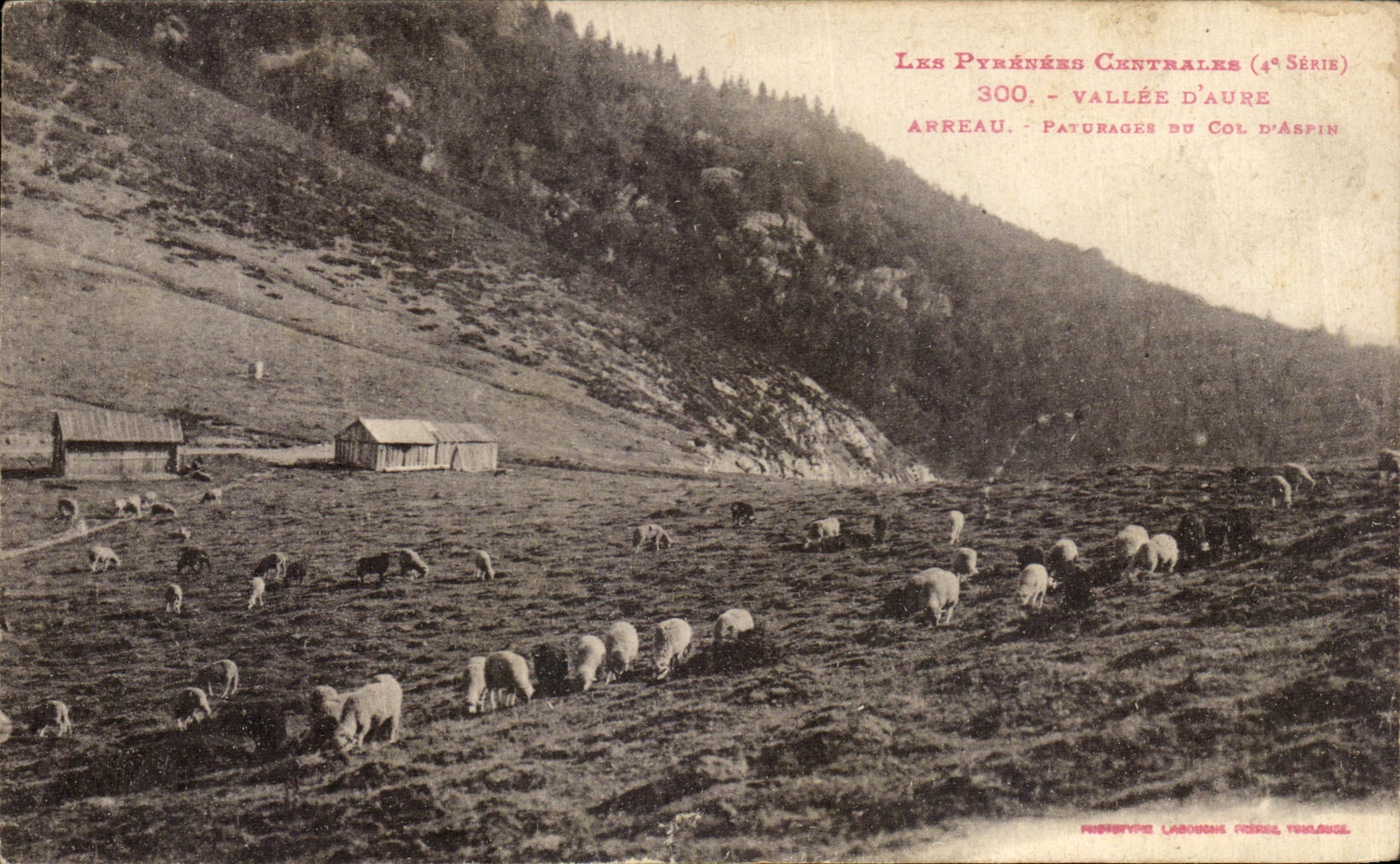 VINTAGE POSTCARD Valley D Aure arreau Pasture of the collar D Aspin