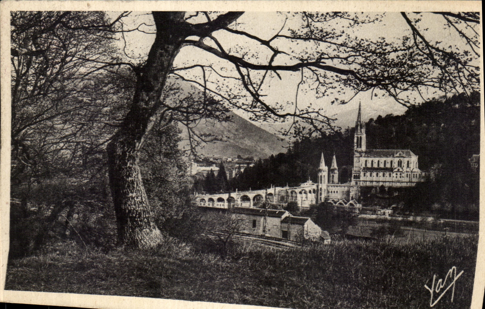 VINTAGE POSTCARD Heavy the Basilica
