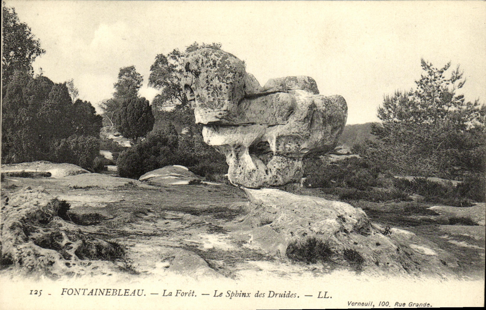 VINTAGE POSTCARD Fontainbleau the Drill the Sphinx of the druids