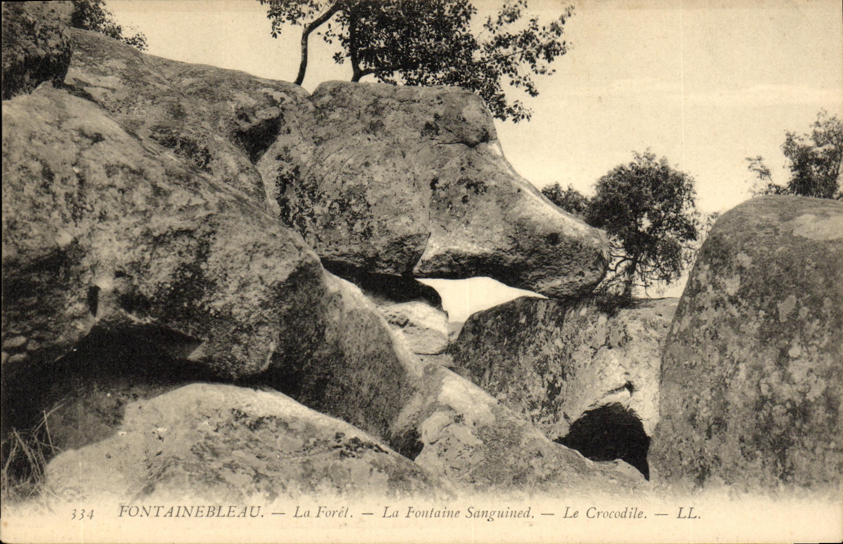 VINTAGE POSTCARD Fontainebleau the Drill the Sanguined Fountain the crocodile
