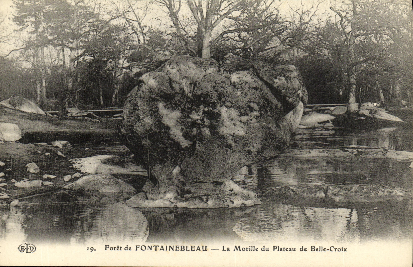 VINTAGE POSTCARD Fontainebleau Drill the Morel of the Plate of Beautiful Cross