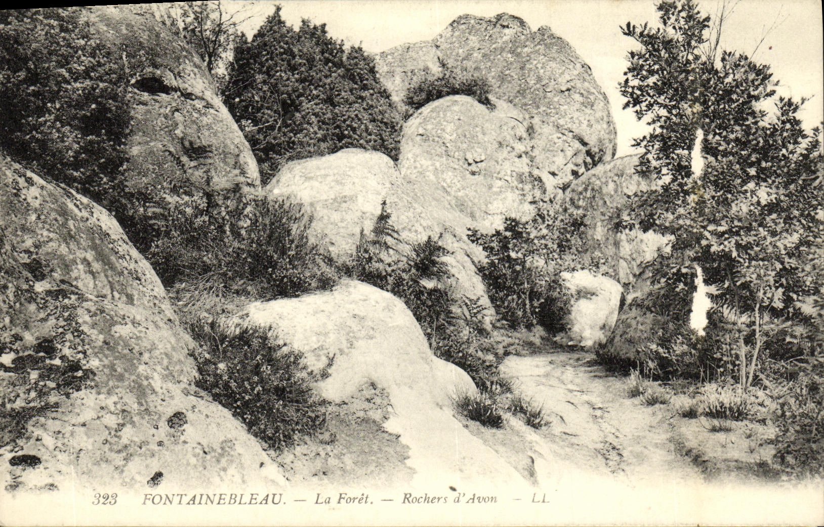 VINTAGE POSTCARD Fontainebleau the Drill Rocks D avon