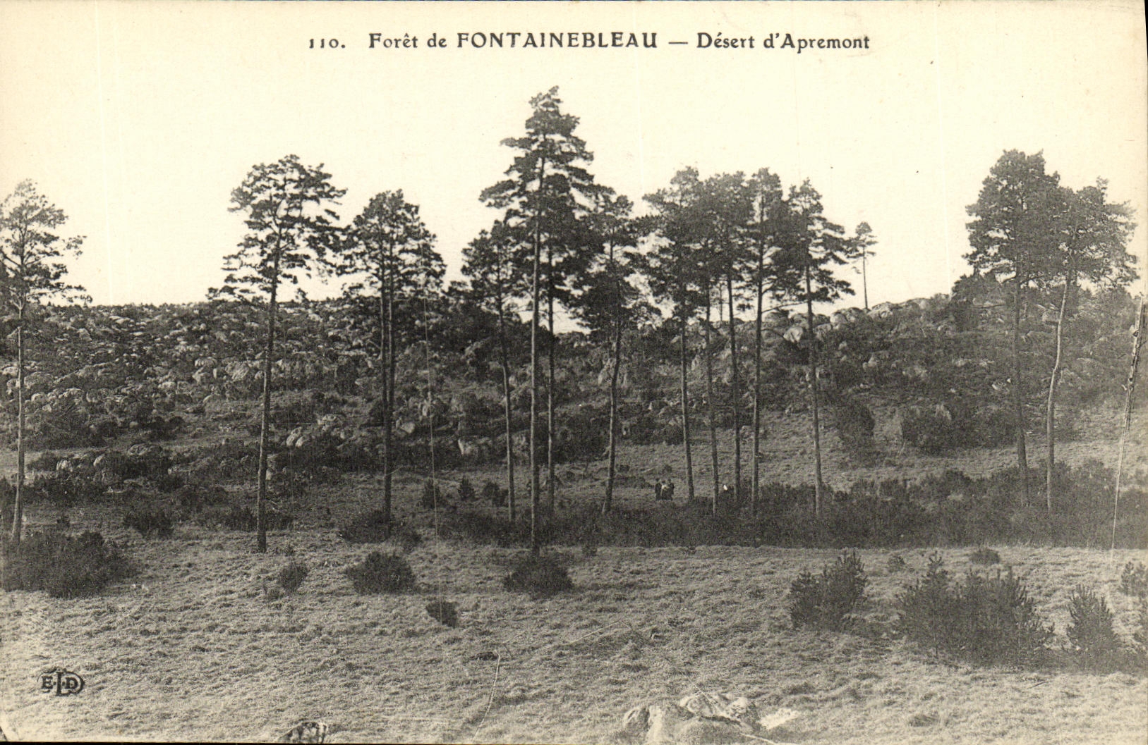 VINTAGE POSTCARD Fontainebleau Foret Serves D Apremont