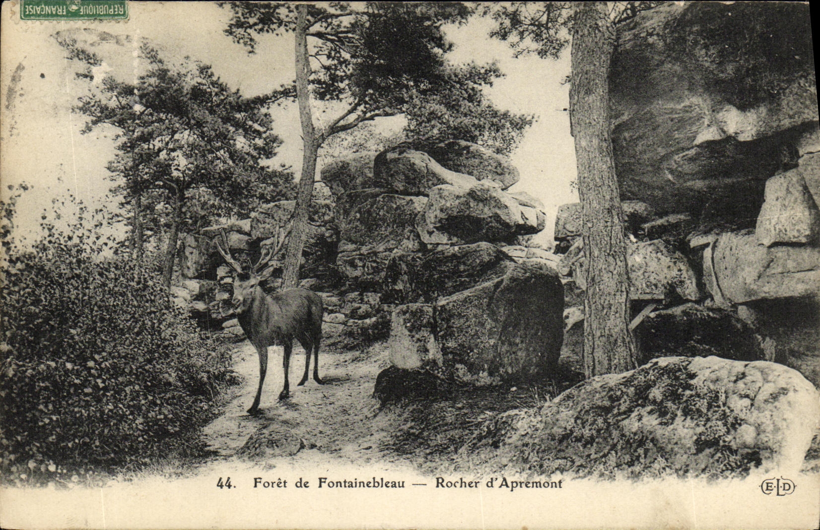 VINTAGE POSTCARD Fontainebleau Rock D Apremont Stag