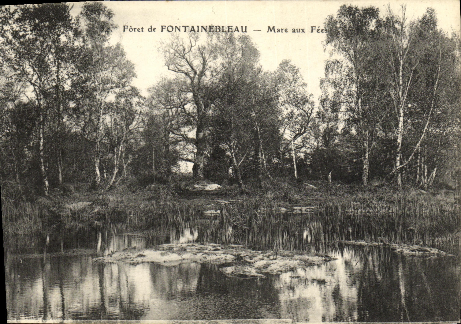 VINTAGE POSTCARD Drill of Fontainebleau Pond to the Fairies
