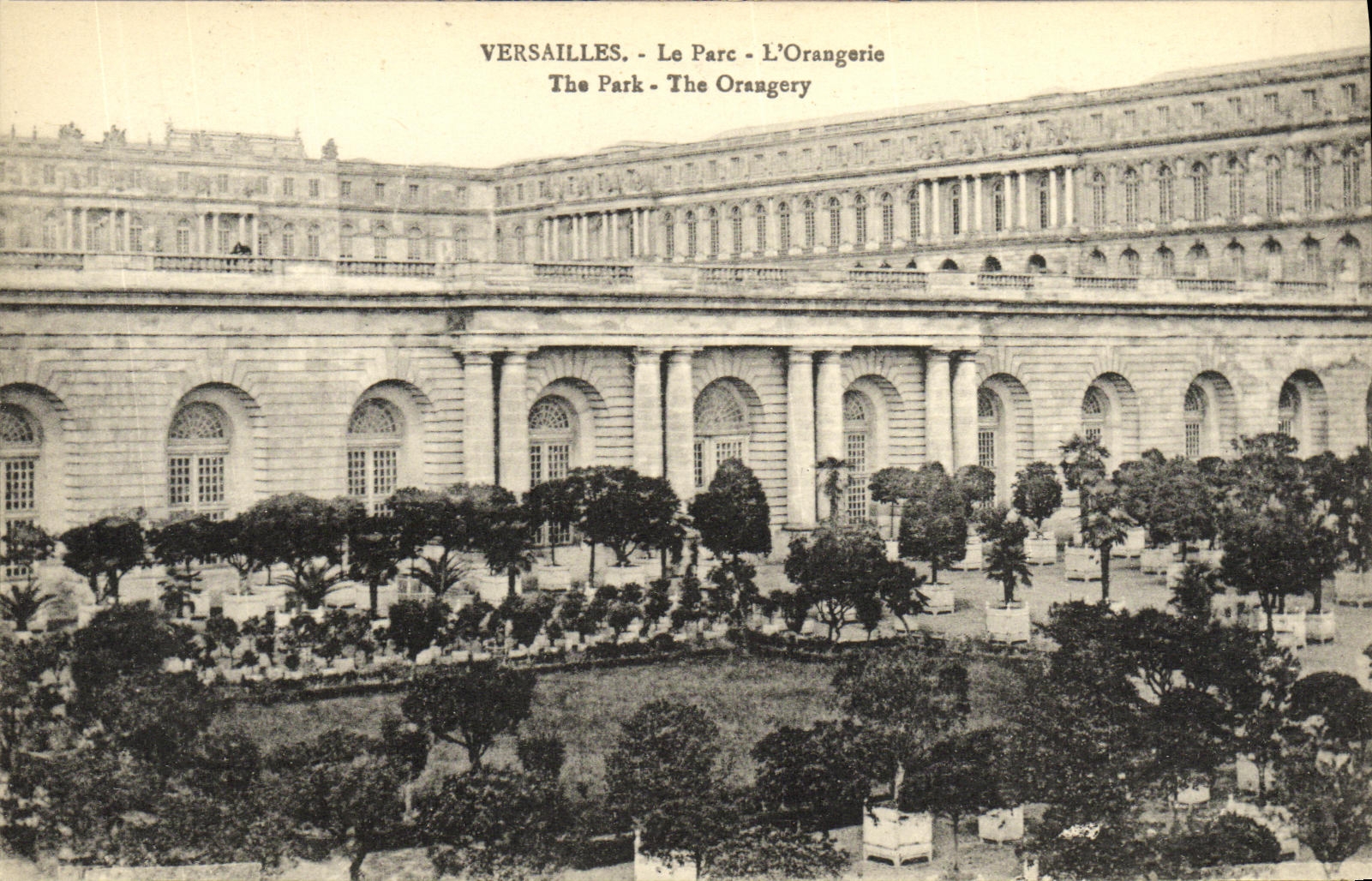 CPA Versailles Le Parc L Orangerie 