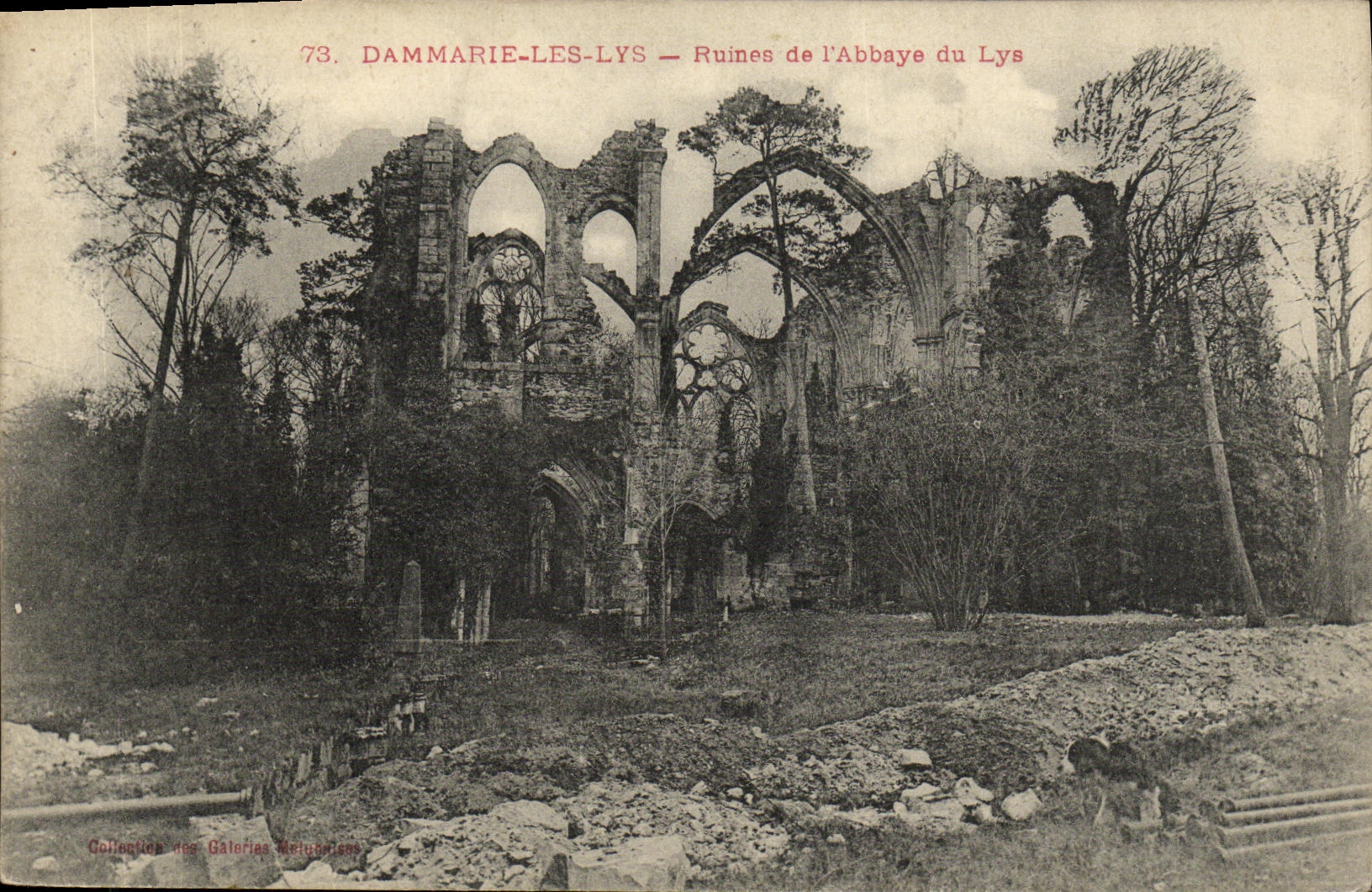 VINTAGE POSTCARD Dammarie the Lilies Ruins of L Abbey of the Lily