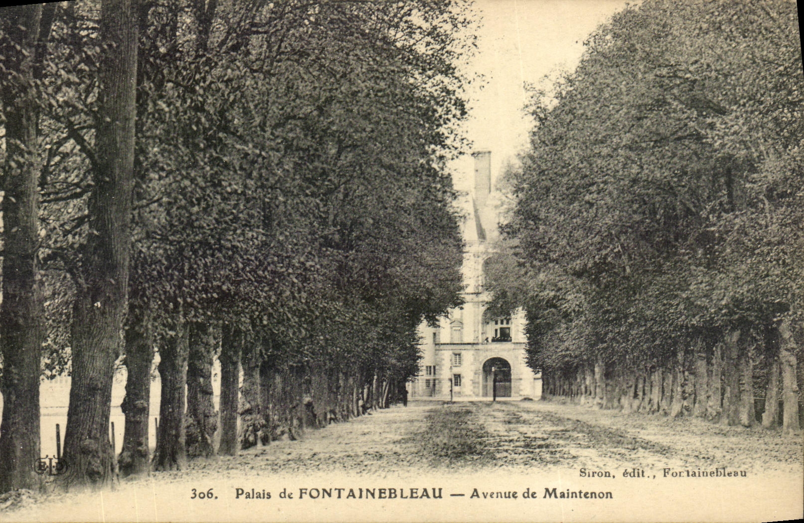 VINTAGE POSTCARD Palate of Fontainebleau Avenue of Maintenon