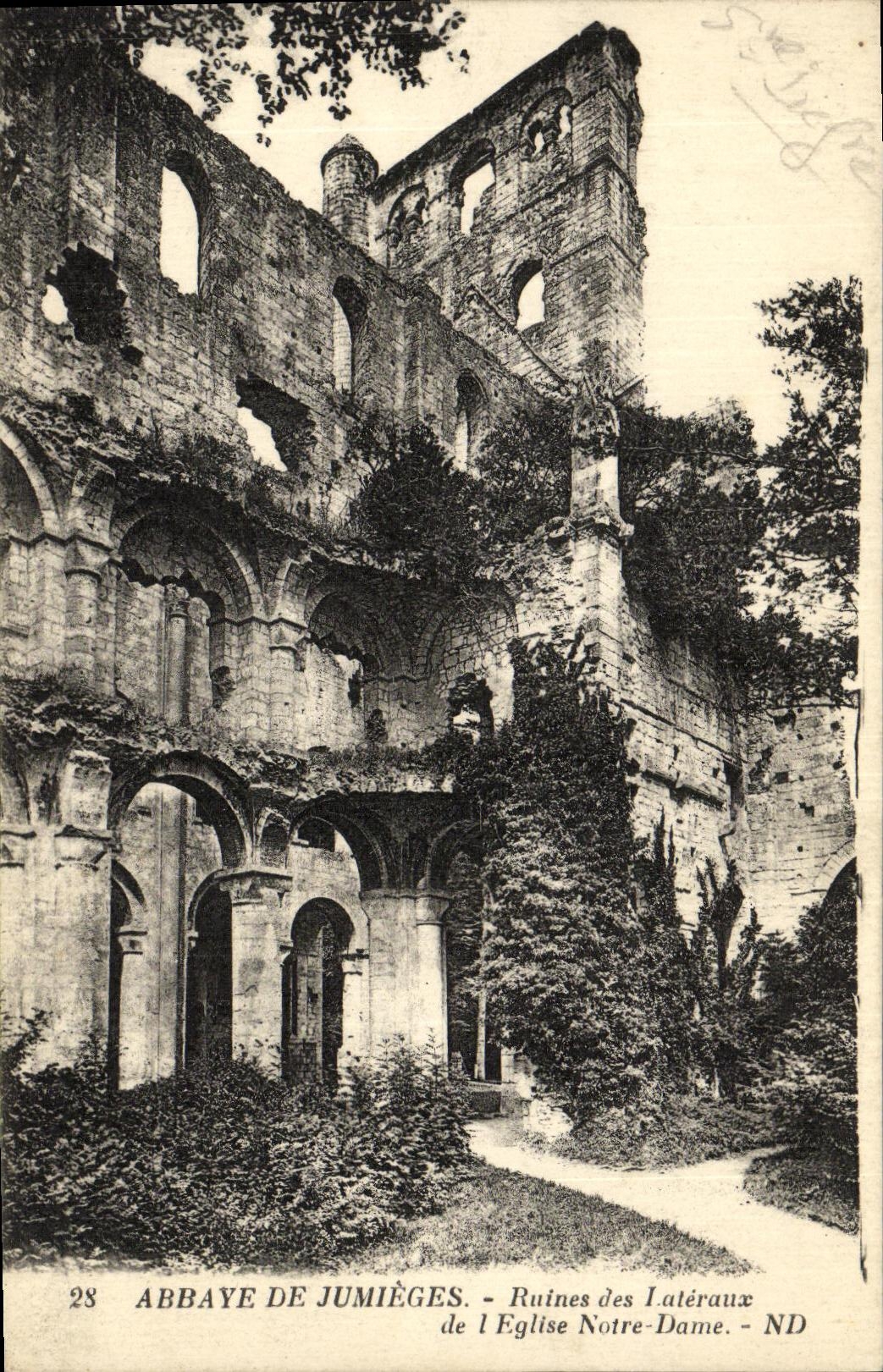 VINTAGE POSTCARD Abbey De Jumieges Ruins Of Side of L Notre Dame church