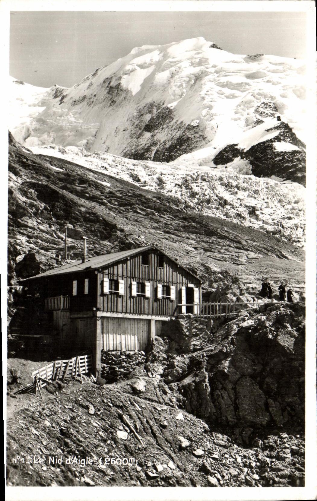 VINTAGE POSTCARD the Nest D Eagle