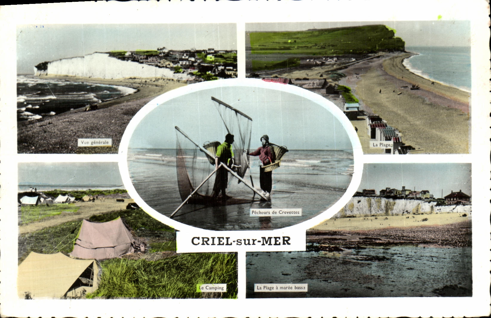 CPSM Criel On Sea Sinners of shrimps