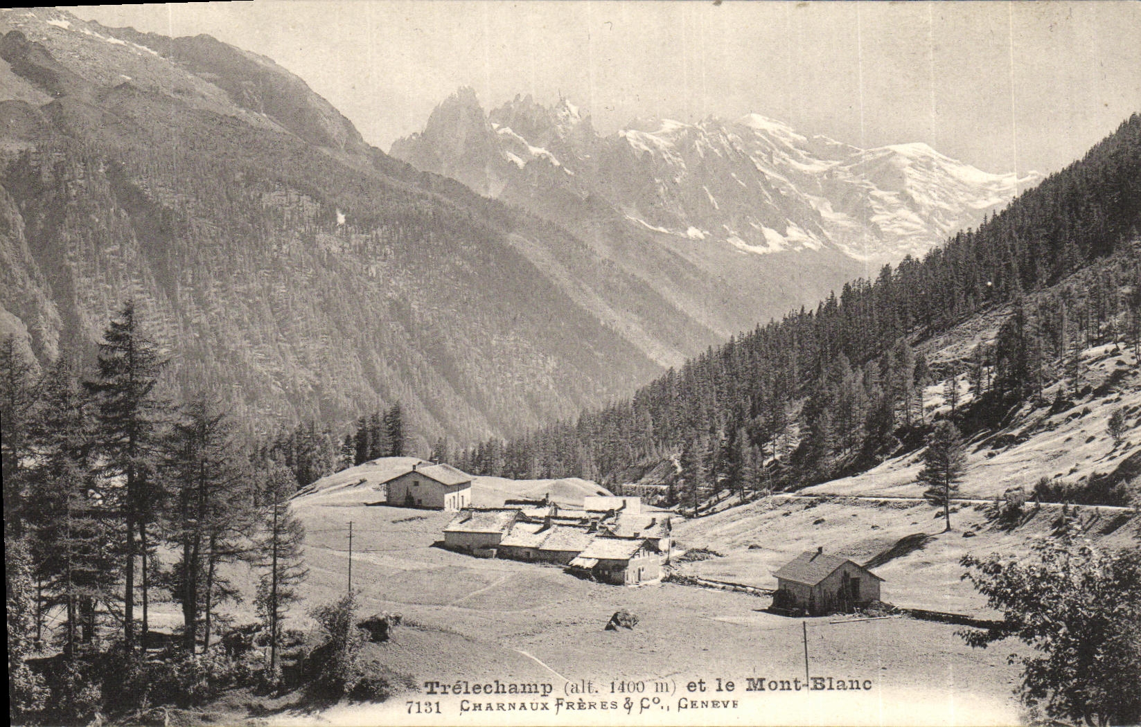 VINTAGE POSTCARD Trelechamp and Mont Blanc