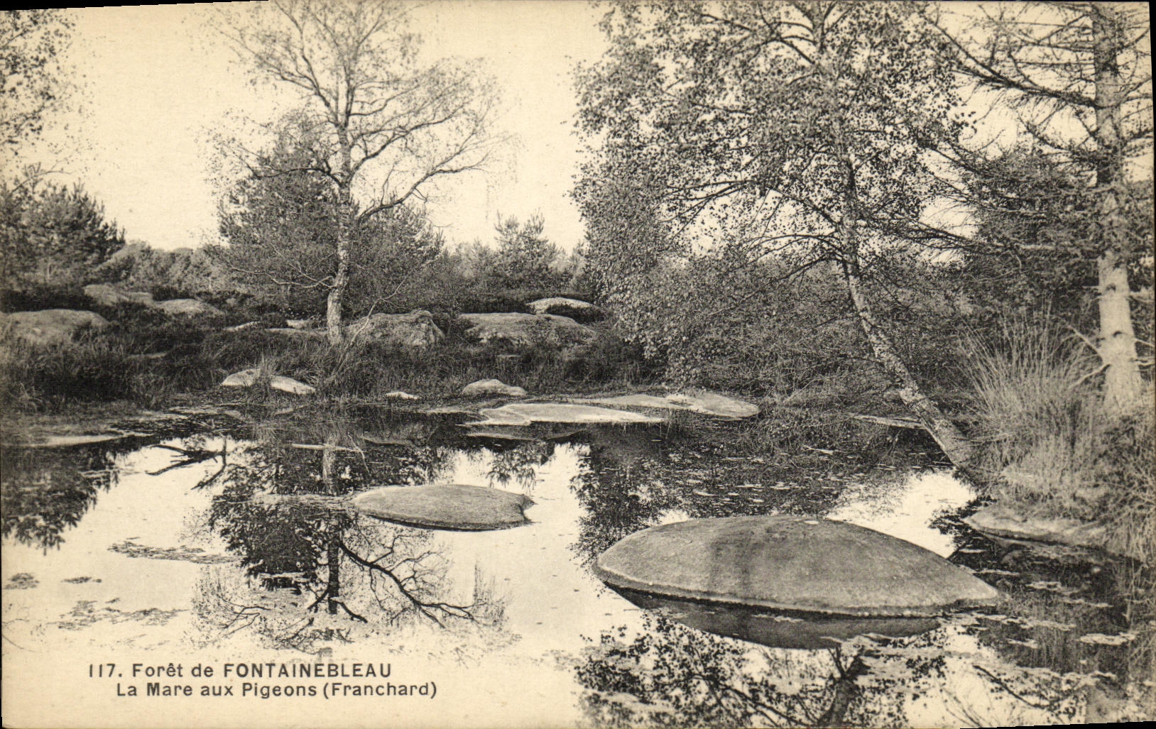 VINTAGE POSTCARD Drill of Fontainebleau the Pond to the Franchard Pigeons