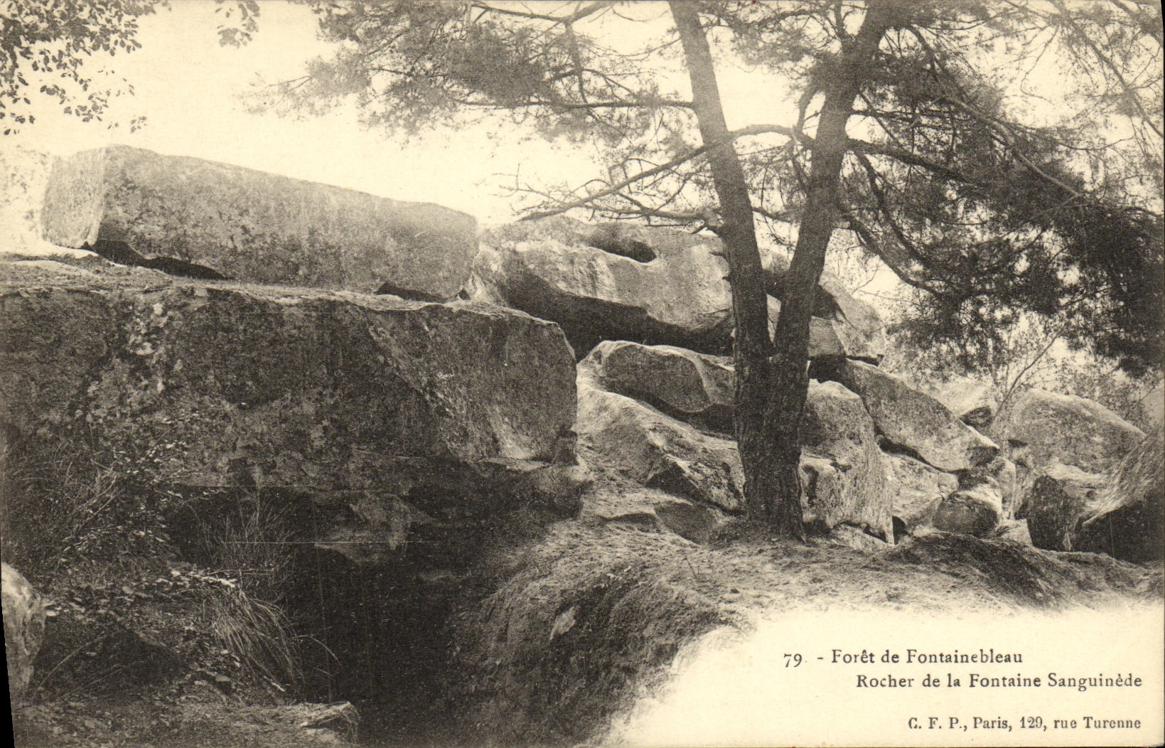 VINTAGE POSTCARD Drill of Fontainebleau Rock of the Sanguinede Fountain