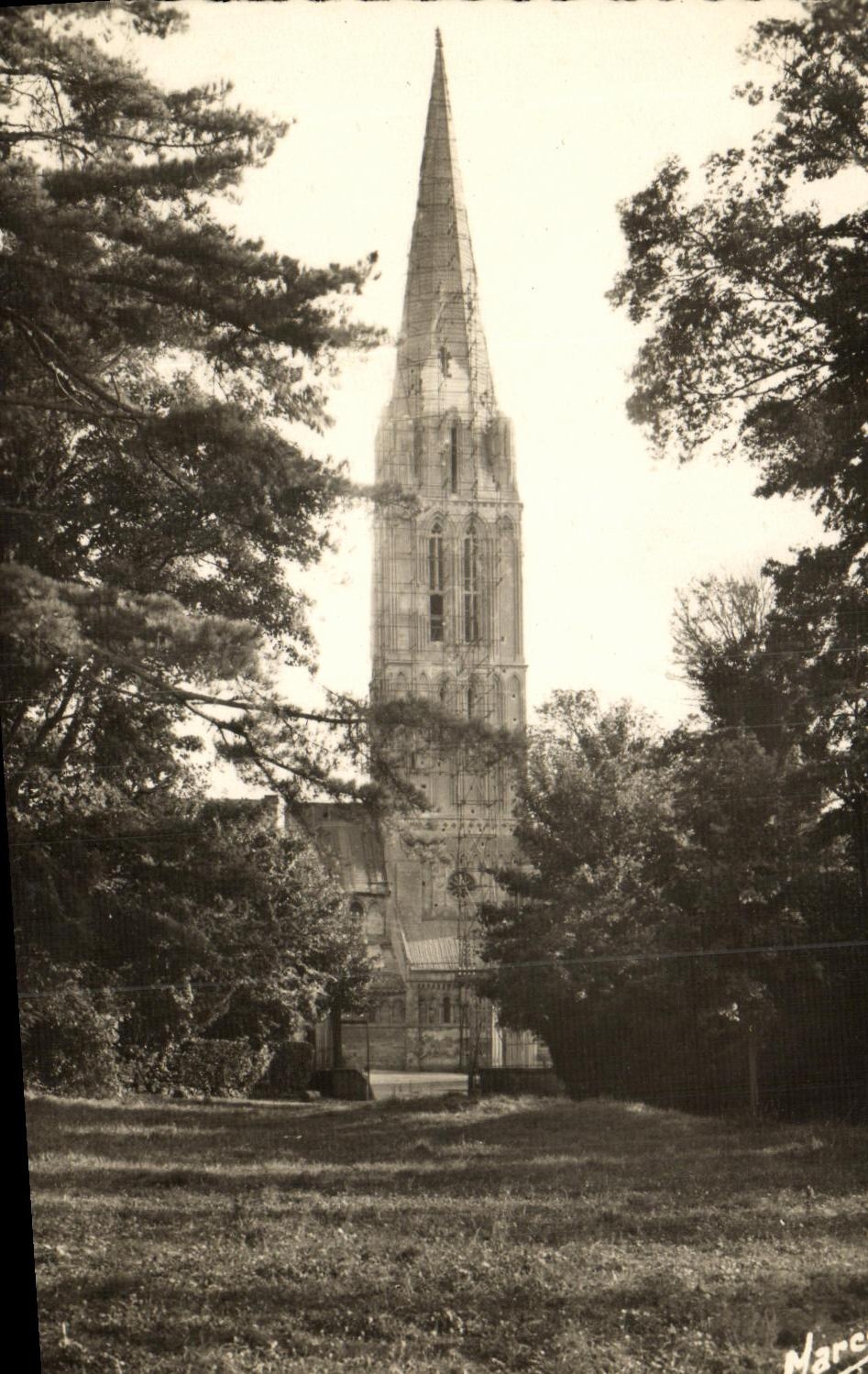 CPSM Bernieres On Sea Under Wood