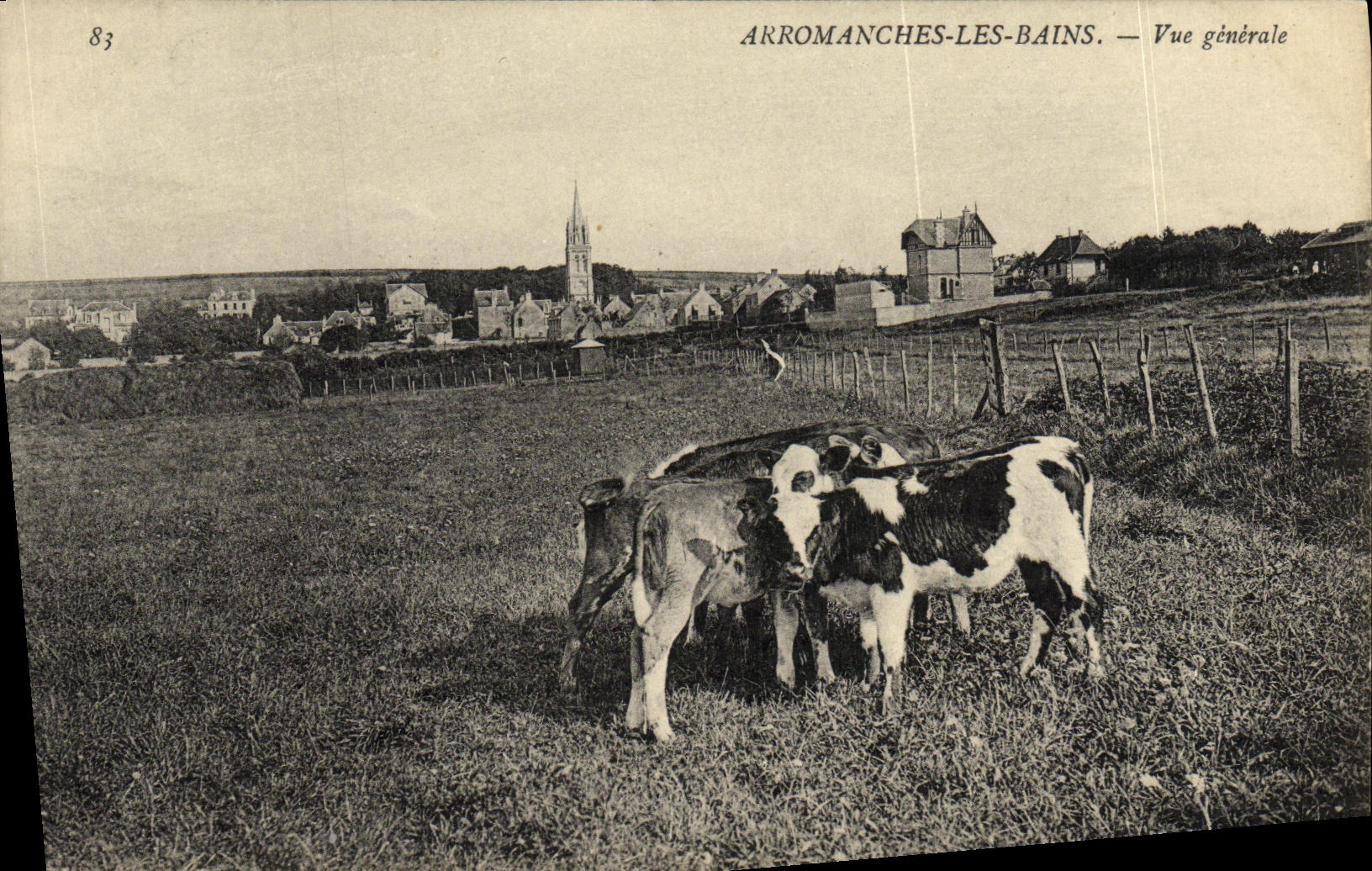 Vacas de la opinion de Arromanches de la POSTAL de la VENDIMIA les Bains