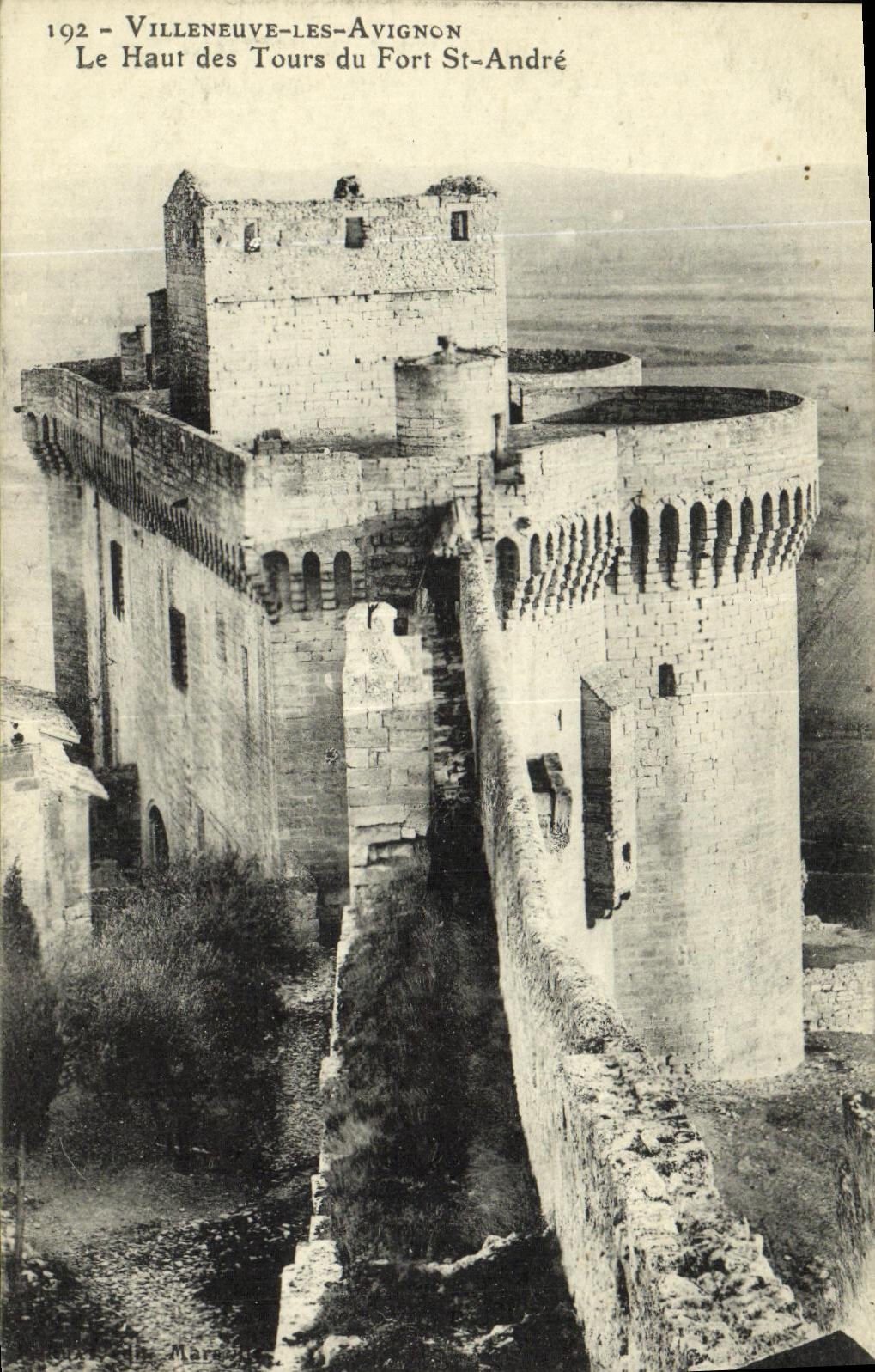 Tapa de Villeneuve Avignon de la POSTAL de la VENDIMIA de viajes de St fuerte Andre