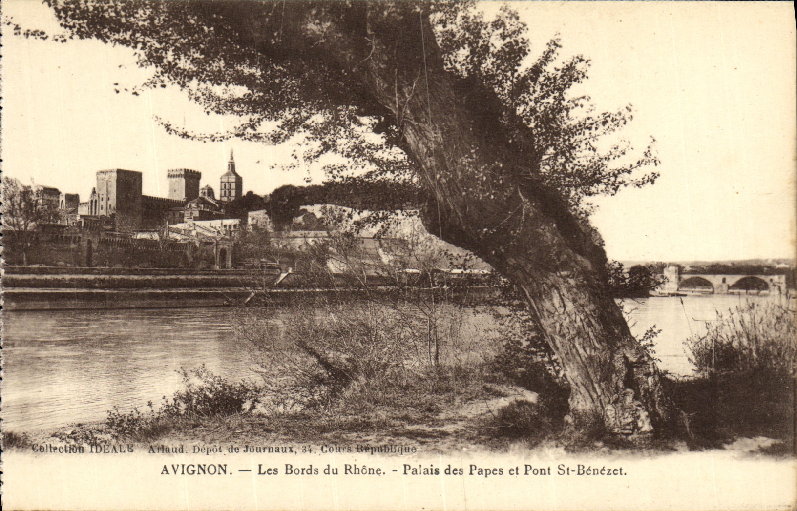 Bordes de Avignon de la POSTAL de la VENDIMIA del paladar de Rhone de los papas y del St Benezet del puente