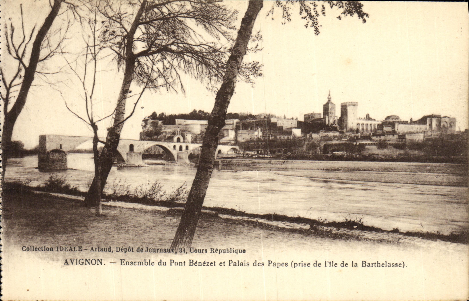 POSTAL Avignon de la VENDIMIA junto del puente de Benezet y del Palais de los papas tomados de L isla de Barthelasse