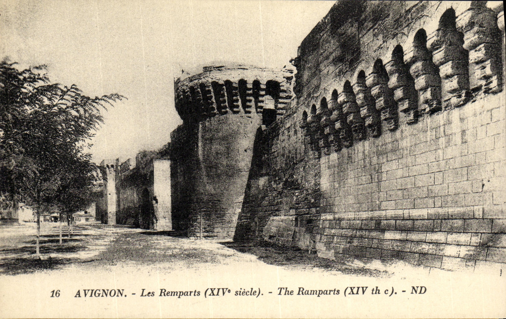 Paredes de Avignon de la POSTAL de la VENDIMIA