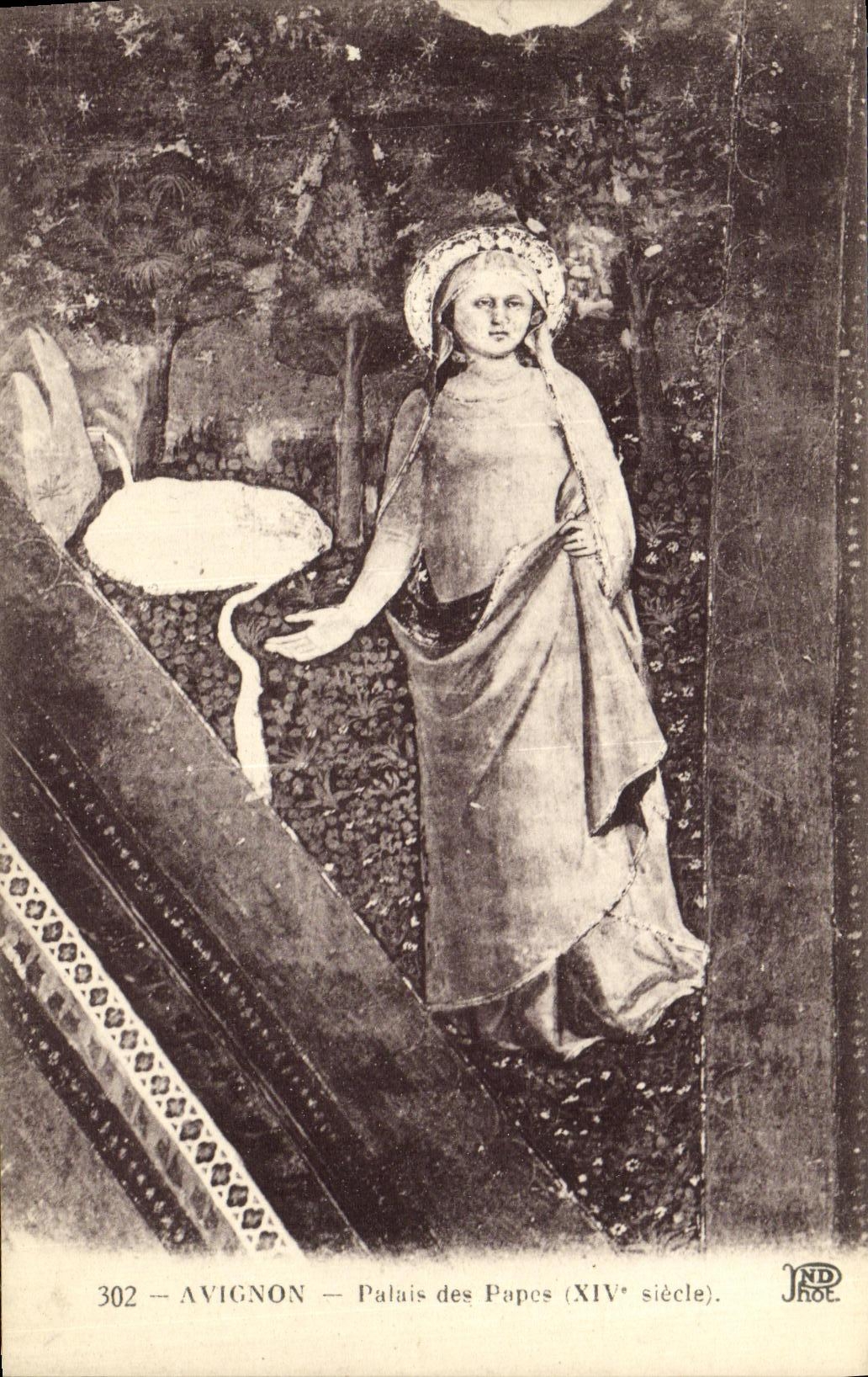 Paladar de Avignon de la POSTAL de la VENDIMIA de los papas