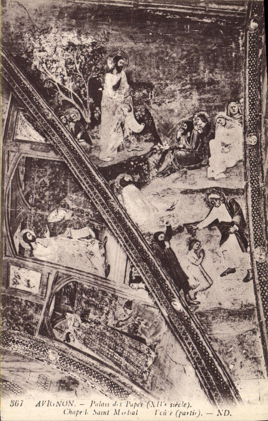 Paladar de Avignon de la POSTAL de la VENDIMIA de los papas Vault Martial Saint