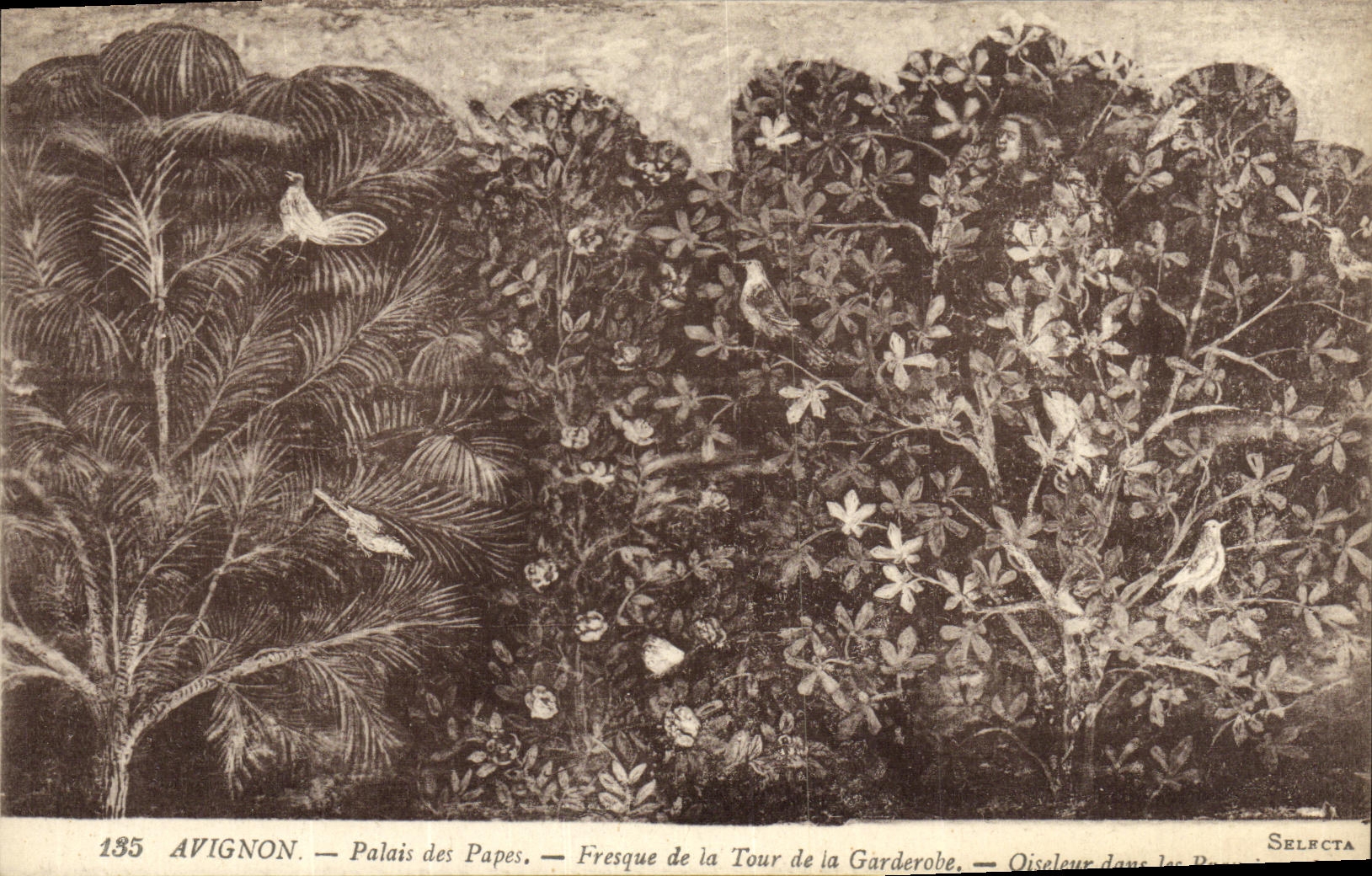 Paladar de Avignon de la POSTAL de la VENDIMIA de los papas Fresco de la torre de Garderobe Osieleur en las ramas