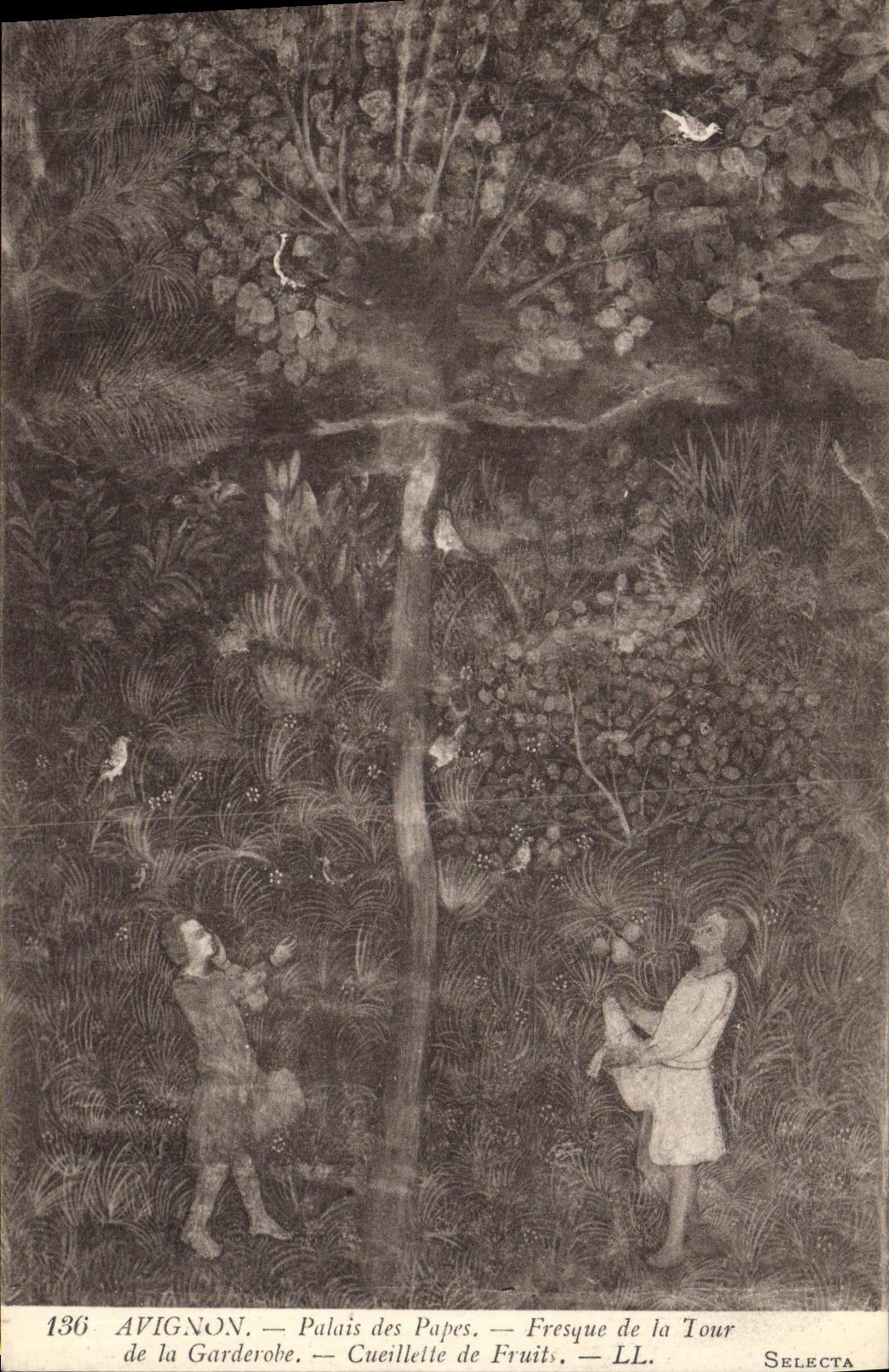 Paladar de Avignon de la POSTAL de la VENDIMIA de los papas Fresco de la torre de Garderobe Cueillettte de la fruta