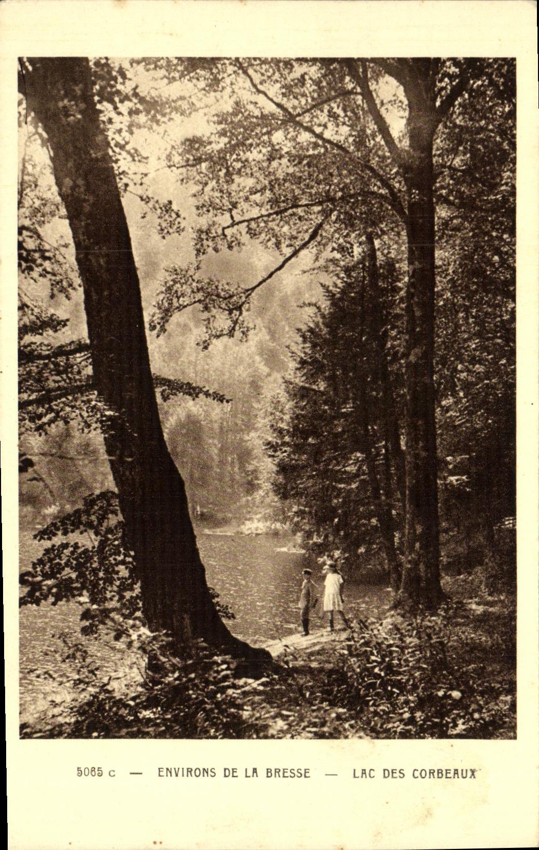 Alrededores de la POSTAL de la VENDIMIA del lago Bresse de las mensulas