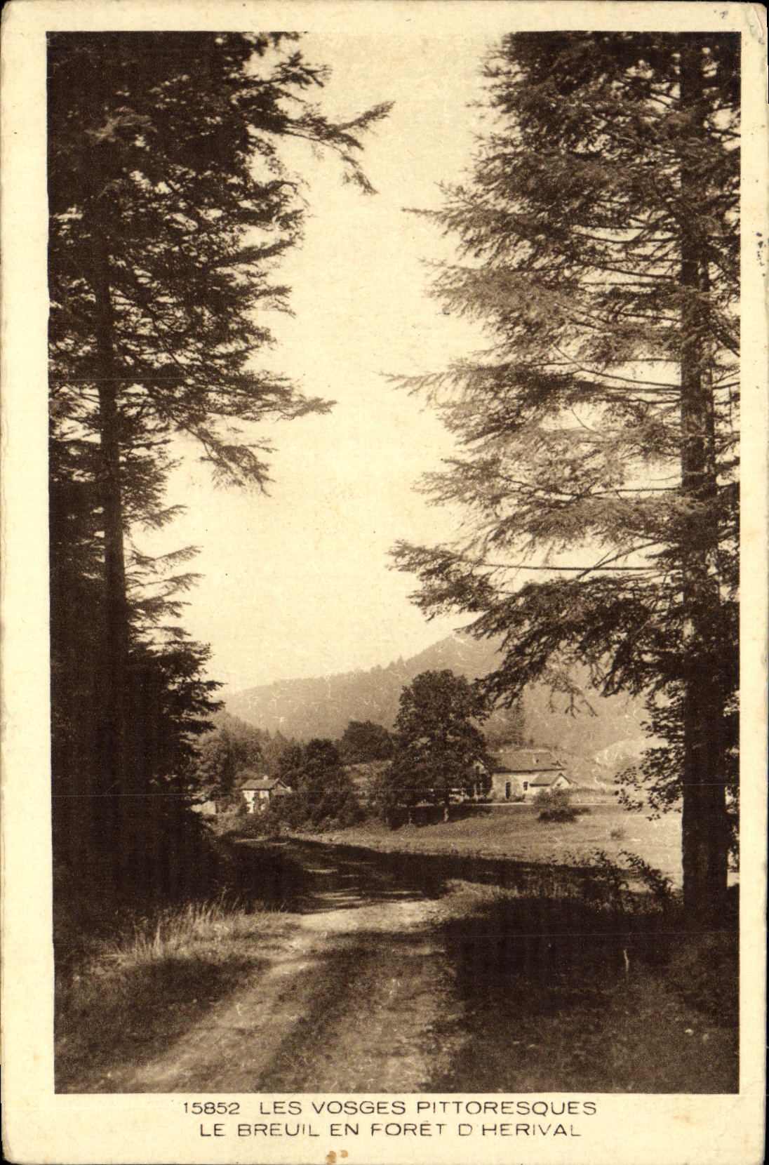 VINTAGE POSTCARD the Vosges Picturesque Breuil Out of Drill D Herival